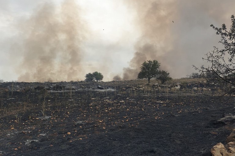 oltre 100 ettari in fumo sulla Murgia, tra Minervino Murge ed Andria
