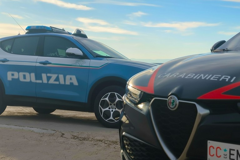 Polizia di Stato e Carabinieri