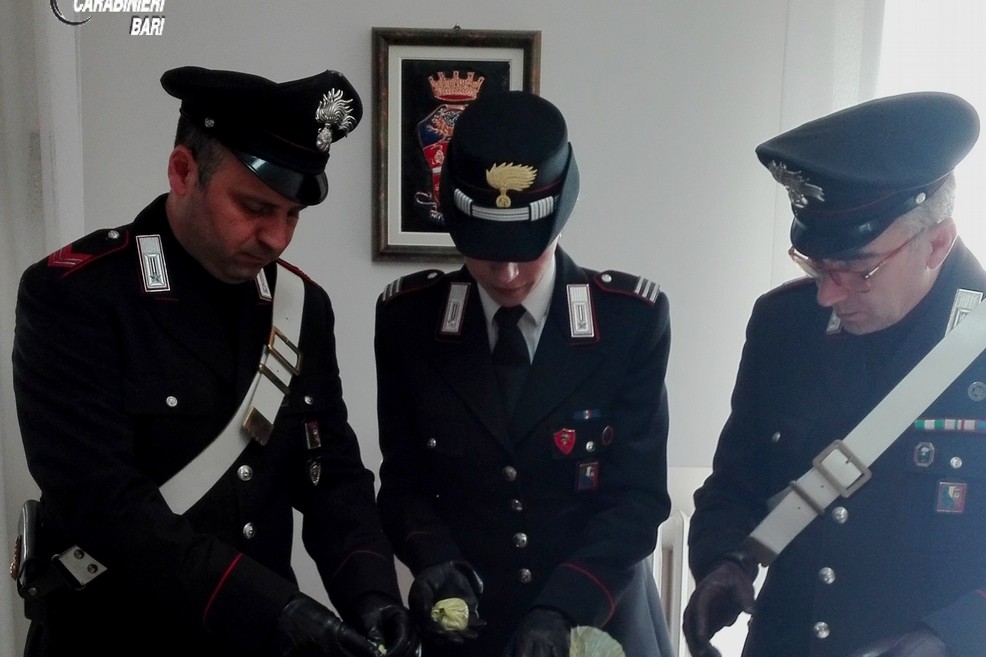 Droga sequestrata dai Carabinieri di Andria