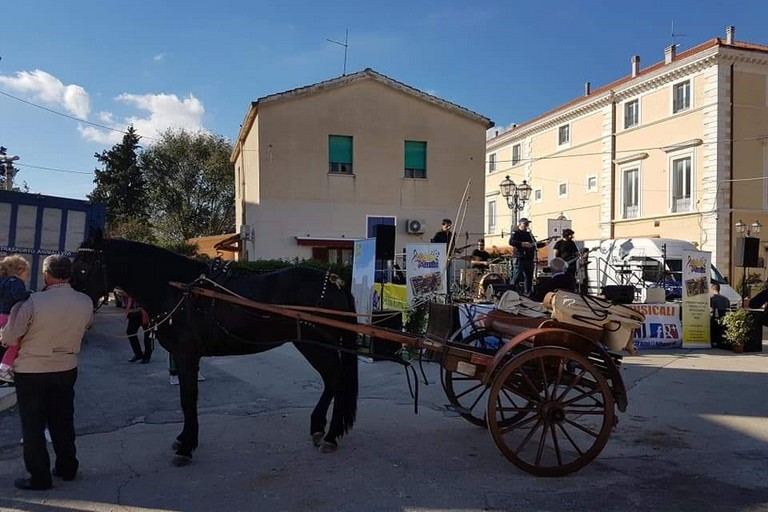 Festa di San Martino a Montegrosso