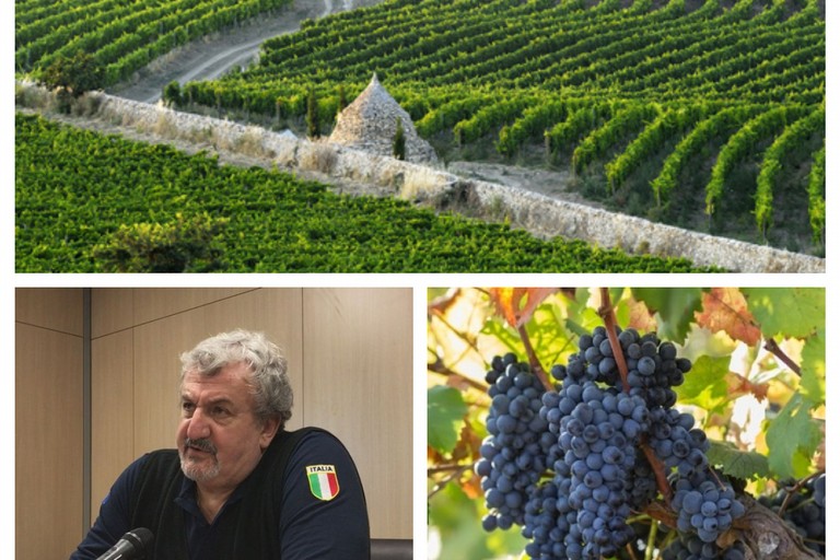 Vino Primitivo e Michele Emiliano