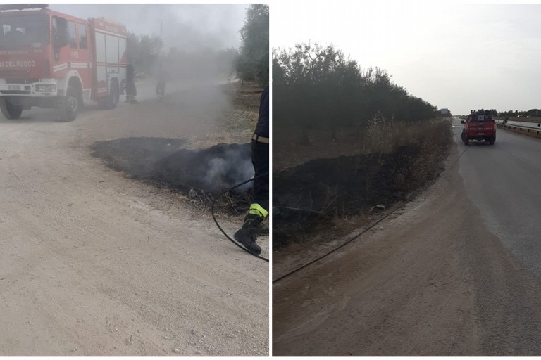 incendi nelle campagne di Andria