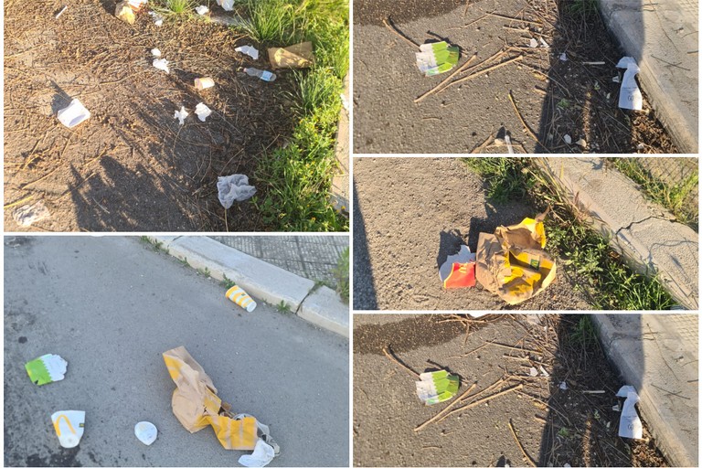 Zona PIP invasa dai rifiuti delle attività della ristorazione