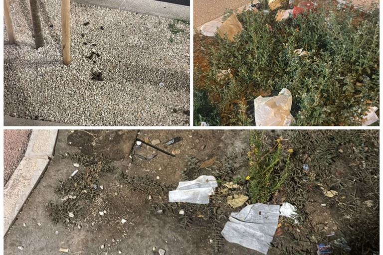 rifiuti e deiezioni canine, ecco come appaiono i giardinetti di piazza Bersaglieri