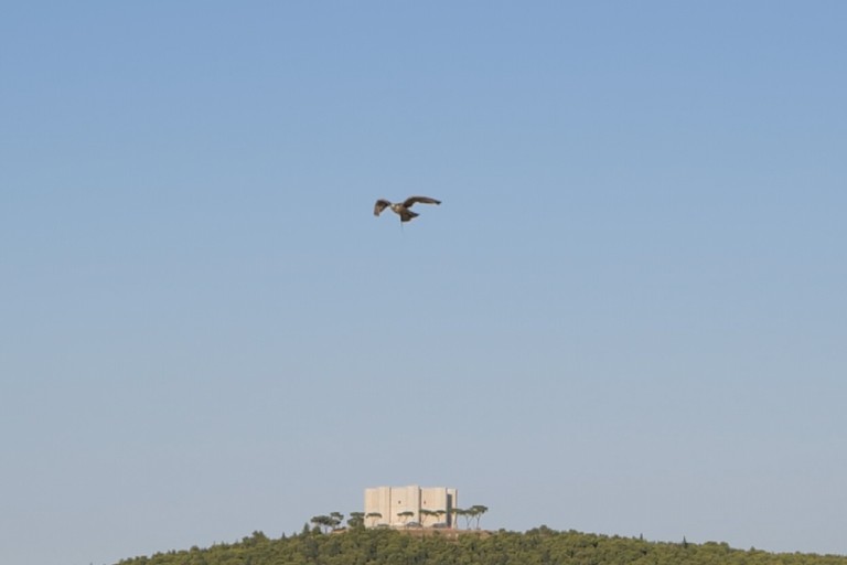 Castel del Monte ed il paesaggio murgiano. <span>Foto Paolo Bassi</span>