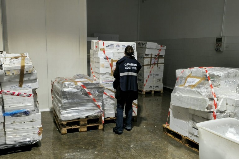 Guardia Costiera: controlli intensivi sulla filiera della pesca in tutta la Bat