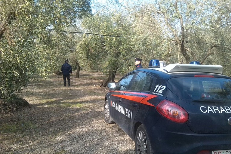 Carabinieri in azione nelle campagne