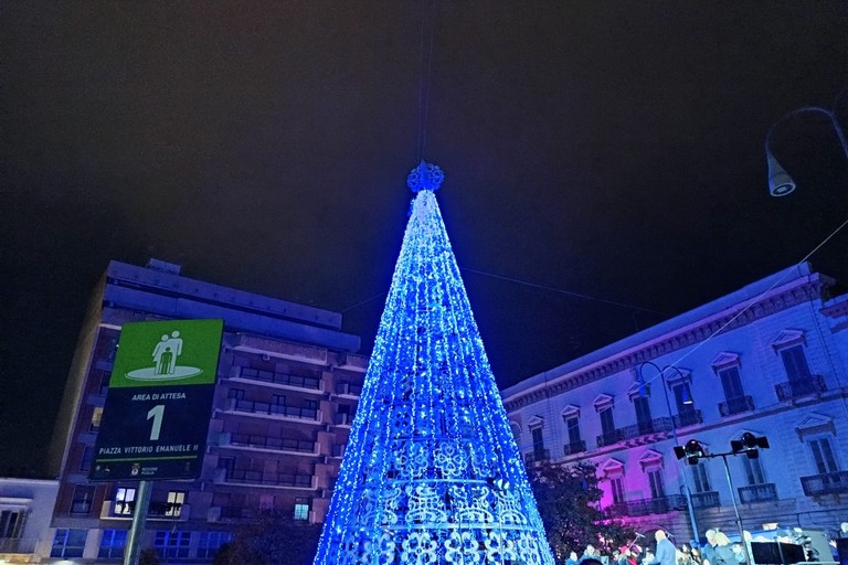 Il grande Albero di Natale in Piazza Catuma