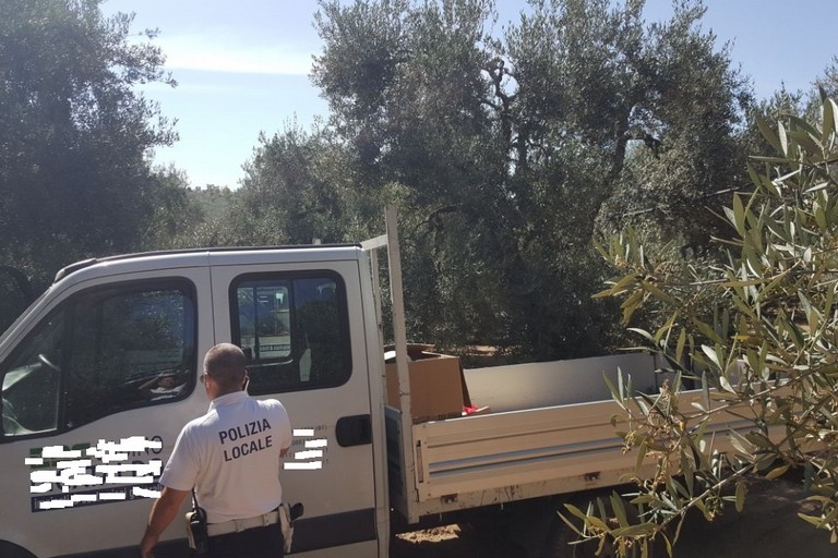 autocarri rubati a Barletta