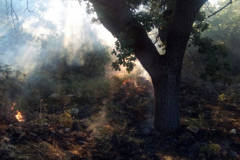 incendio contrada Abbondanza