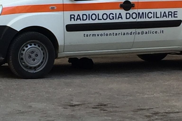 Radiologia Domiciliare