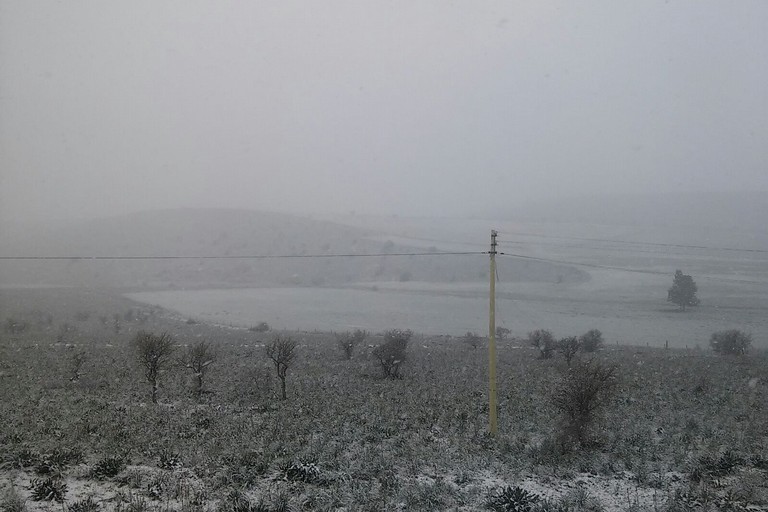 Neve ad Andria