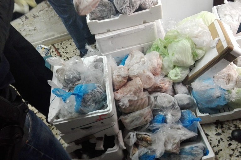 sequestro di pesce da parte della Guardia Costiera