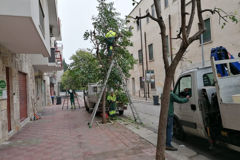 Manutenzione verde pubblico