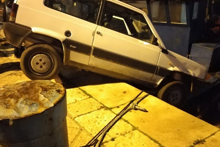 Panda in bilico sulla banchina del porto di Trani