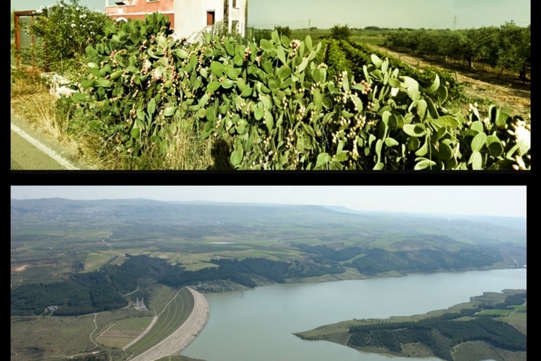 Canne di Battaglia e Diga del Locone