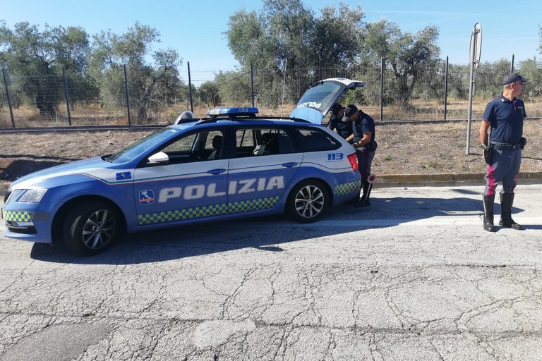 Polizia stradale