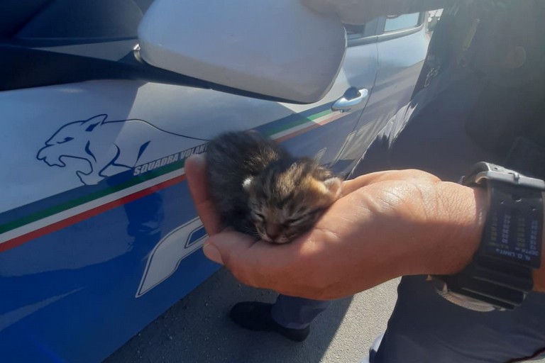 Polizia di stato contro abbandono cani