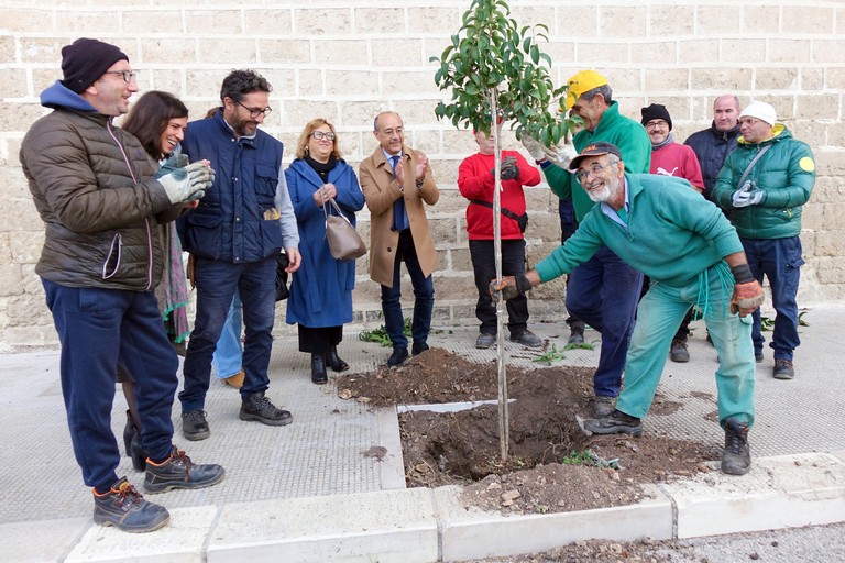 Nuovi alberi al cimitero