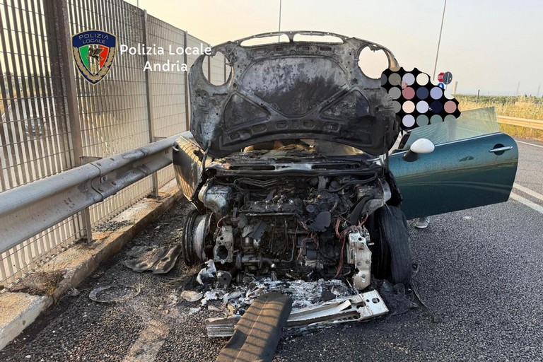 Auto in fiamme