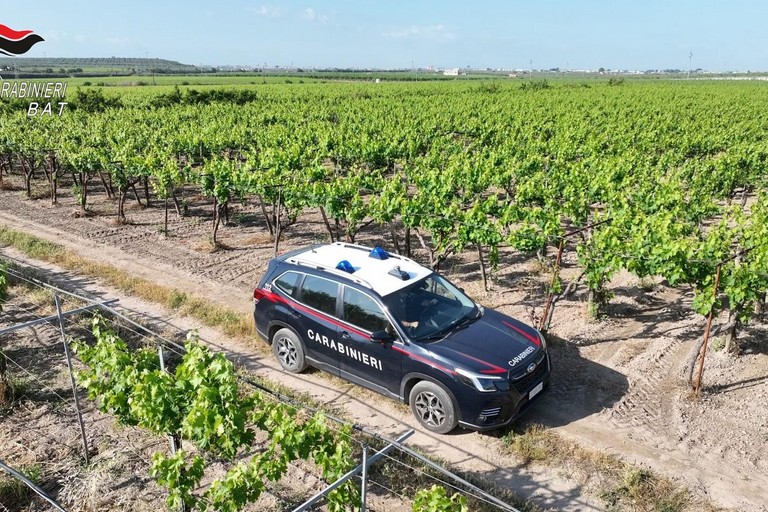 Carabinieri di Trani