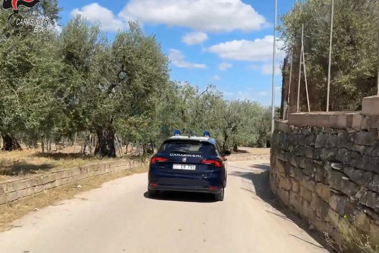 Carabinieri della Bat