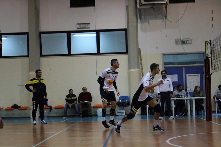 Florigel Pallavolo Andria