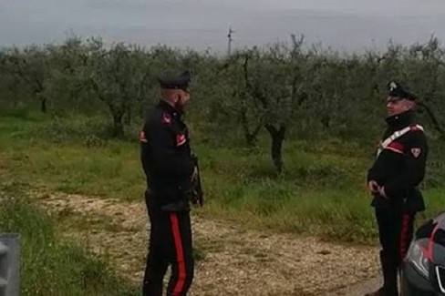 operazione dei Carabinieri