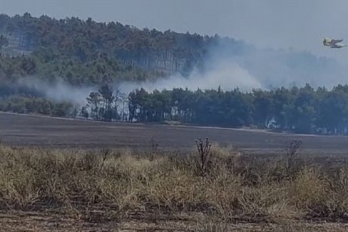 Ancora incendi sulla Murgia del nord barese