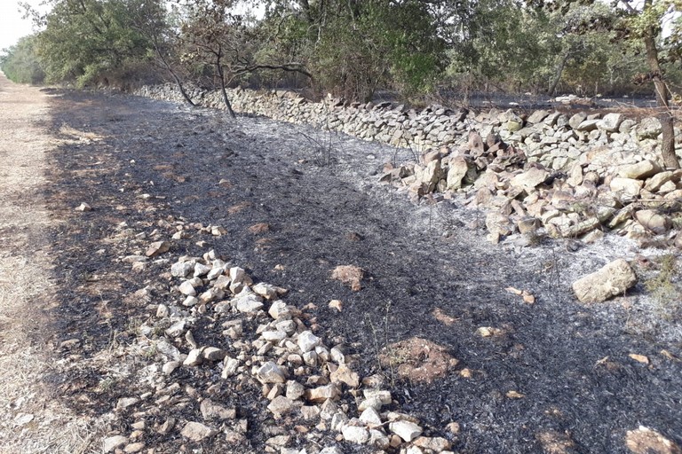 incendio zona Pandolfelli