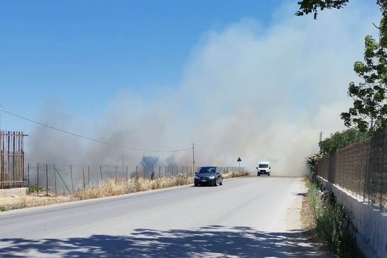 incendio di sterpaglie