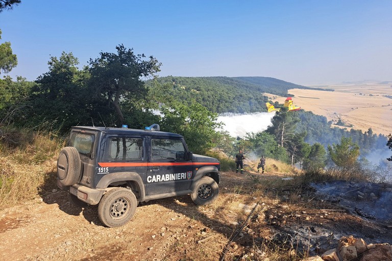 Incendi sulla Murgia, Confagricoltura Bari-Bat: “Avevamo già lanciato un’allerta"