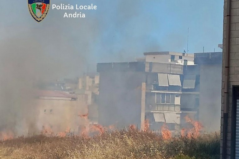 Incendio di sterpaglie