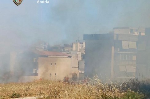 Incendio di sterpaglie