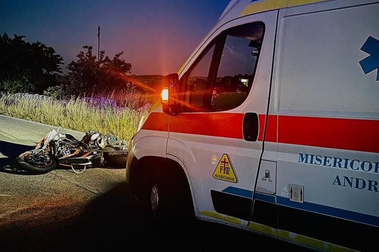 incidente stradale a causa di un grosso cinghiale