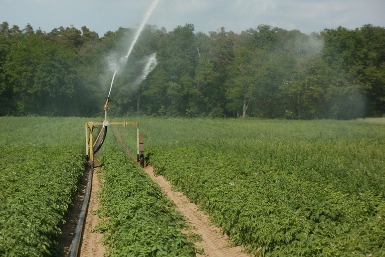irrigazione in agricoltura