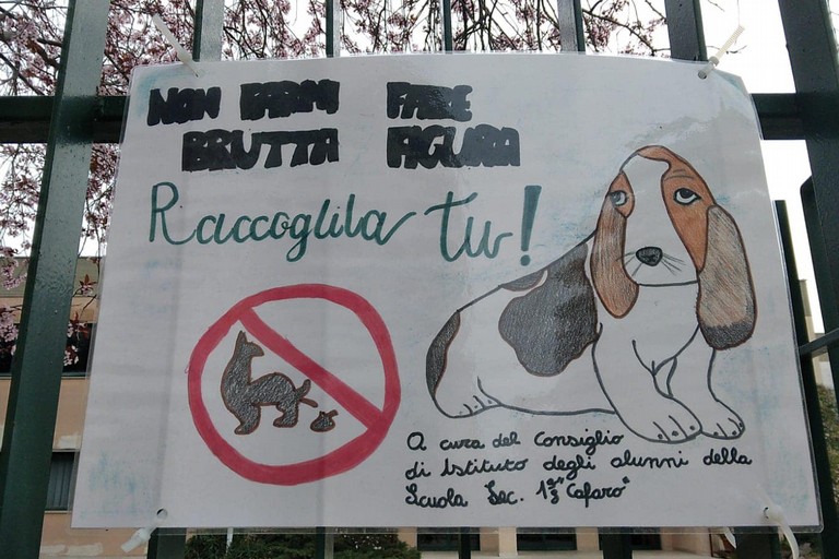 LI C Verdi Cafaro dice Basta ai campi minati per le deiezioni canine
