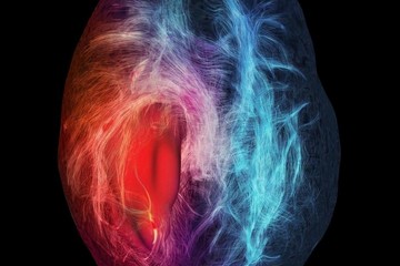 Settimana Mondiale del Cervello: iniziativa del Centro Diurno “REM” per non autosufficienti di Andria