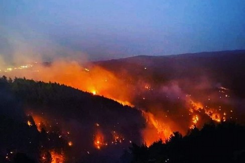 incendi boschivi