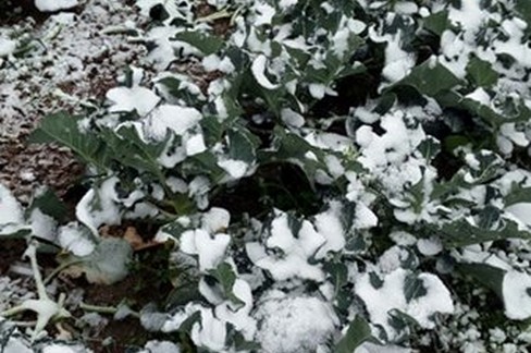 gelo e neve in Puglia