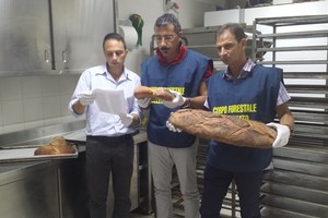 Pane di Altamura falso, sventata truffa in Puglia, Molise, Campania e Calabria