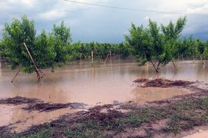 Campagne allagate per la pioggia e danni maltempo