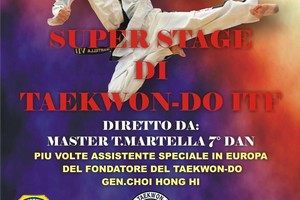 Stage Taekwondo