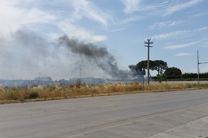 Incendio di sterpaglie in via Trani: visibilità ridotta in Tangenziale