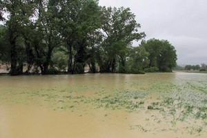 Campagna allagata Andria