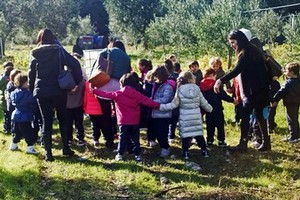 Bambini campagna olio Andria