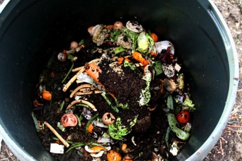 compostaggio domestico