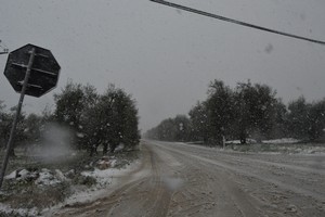 Strada neve Andria - Castel del Monte