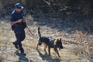 Cani molecolari Polizia