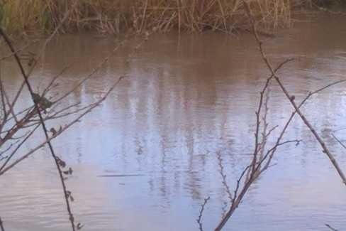 Fiume Ofanto in piena